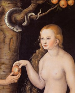 Eva tilbyder Adam æblet i Edens Have og slangen, ca. 1520-25 olie på træ detalje af 407328